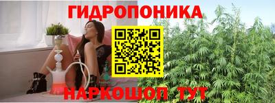 прущие крисы Кулебаки