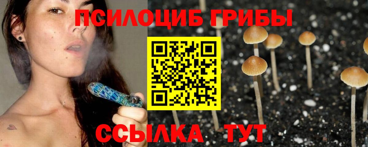 Карталы  Галлюциногенные грибы ЛСД  Вход с VPN  Псилоцибиновые грибы Psilocybine cubensis 